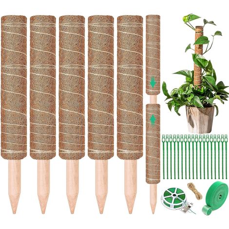 Tuteur Plante - Lot de 5 - Fibre De Coco - Extensible 160 Cm - Pour Monstera Et Liane - 42 Cm (1/5)