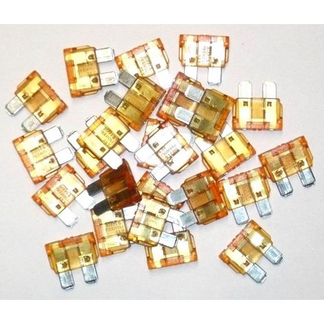 Fusibili a cartuccia da 40 ampere, confezione da 25 fusibili