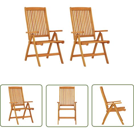 The Living Store Chaises de jardin pliables lot de 2 Bois d'eucalyptus massif - Chaise De Jardin - Fauteuil De Jardin - Meubles De Jardin - Bois D'eucalyptus - Chaise Pliante (1/9)