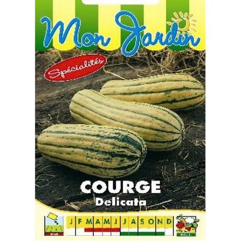 Courge 'Delicata' le sachet de 20 graines environ (1,2g)