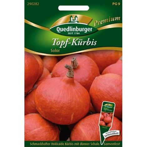Quedlinburger Topf-Kürbis Solor - Gemüsesamen (1/2)