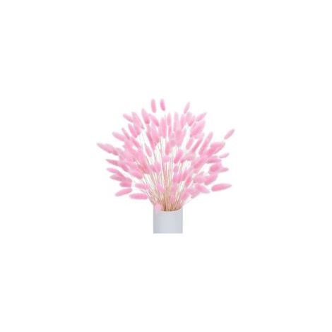 120 Stängel getrocknetes Pampasgras zur Dekoration, getrocknete Pampasgrasblüten, Trockenstraußdekoration, geeignet für Hochzeitsblumen im Boho-Stil und Tischdekorationen (rosa) (im Glas)
