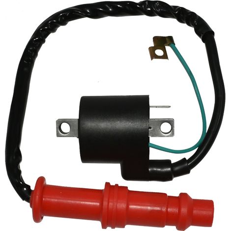 Bobine d'allumage et capuchon de bougie pour 500 96-02 03-07 (1/5)