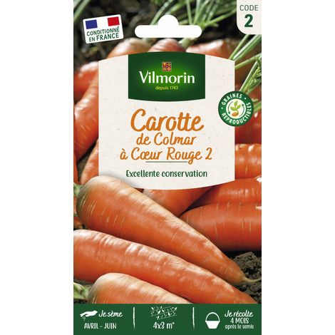 Carotte de Colmar Vilmorin (1/2)