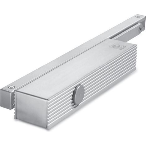 Eco-Schulte TS 61G chiudiporta finitura argento, durevole