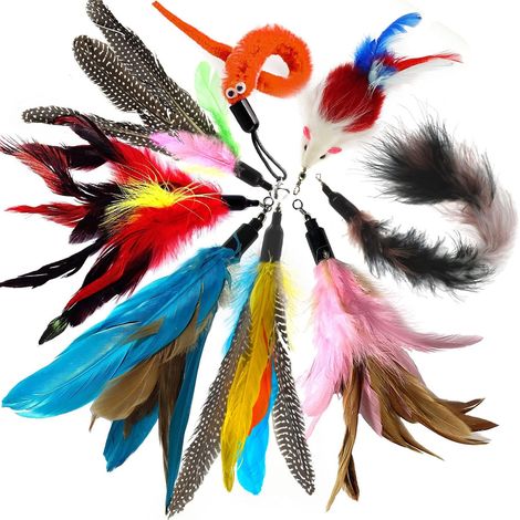 Jouet à Plumes pour Chats, Plume Chat Jouet Rechange, Plumeau Jouets pour Chat Plume (8 Pièces) (1/5)