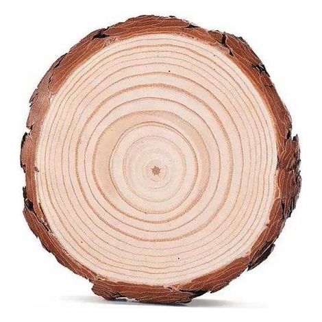 12PCS Tranches de Bois Naturel 10 11cm Épaisseur de 10mm, Rondelle Rond en Bois Rustique pour Artisanat Bricolage Décoration Murale (1/5)