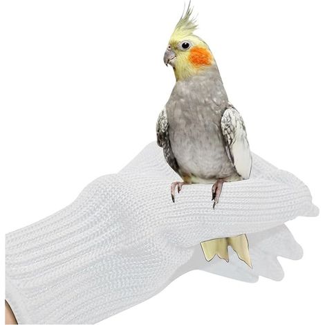 Gants Anti-morsure de Protection pour Perroquets - Dressage d'Oiseaux avec Fil d'Acier à Mâcher (Blanc) (1/5)