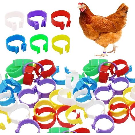 Plastic Leg Rings for Chickens Ducks Chickens Quail Pigeon Small Animals Easy to Distinguish (1/5)
