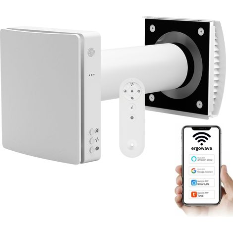 Récupérateur d&x27air simple R-110 (1/5)