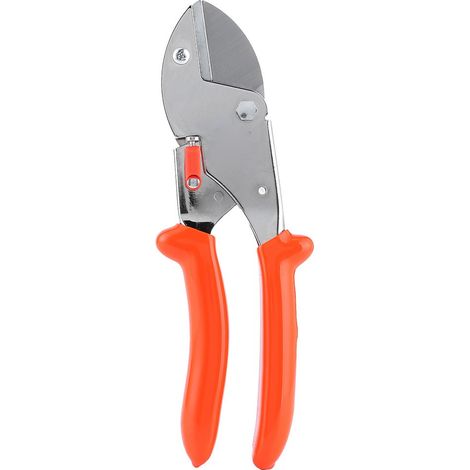 Sécateurs, cisailles de jardin, sécateurs à main pour arbres fruitiers et fleuristes, outils de jardinage (1/5)