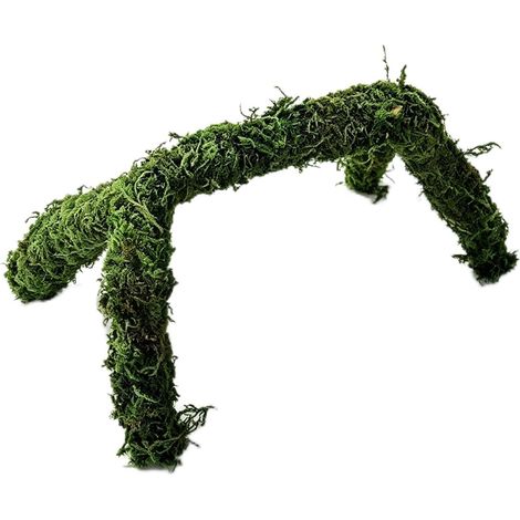 1 Pièce Accessoire d'Escalade Réglable pour Gecko Léopard, Jouet d'Escalade pour Reptiles, Décoration d'Habitat de Terrarium (1/5)