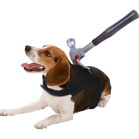 Halloween Chien Gilet Ensanglanté Déguisement Effrayant Réaliste Accessoire Cosplay Animal Accessoire Farce (1/5)