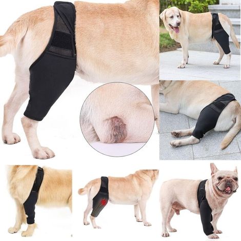 Genouillère pour Les Chiens genouillère pour Animaux Enveloppement de la Jambe Avant arrière arrière canin Coudière Protecteur Récupération Manchon d’arthrite ou d'arthrose Noir (L) (1/5)