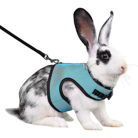 Harnais pour lapin, furet, rat et hamster, confortable et réglable, avec laisse et harnais en maille douce - Taille S - Bleu clair (1/4)