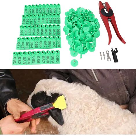 Tierkennzeichnungsclips mit farbigen Etiketten zur Viehidentifizierung – Set aus roten Clips und grünen Etiketten aus Kunststoff und Edelstahl für landwirtschaftliche Fachkräfte (1/5)