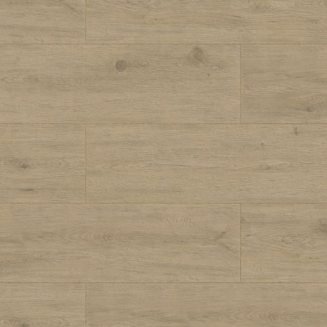 Carrelage effet Bois Chêne Cendré Rustic 120x30x2 cm Forenza - Sol extérieur (vendu par carton de 0,72 m²) - RO'MA CARRELAGE