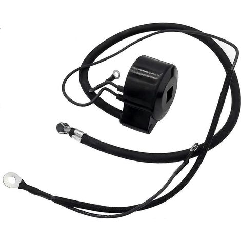 Module de bobine d'allumage pour moteur Tecumseh 30560A 135-13-990 H30 H50 (3-10 CV) (1/5)