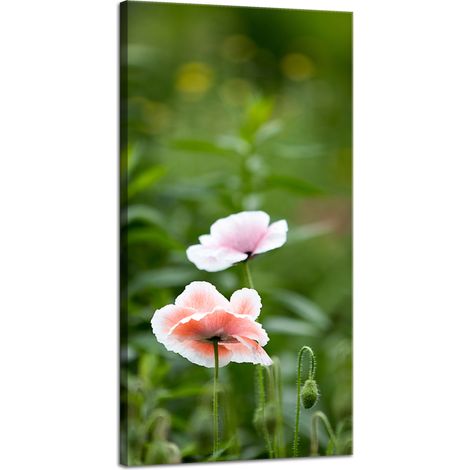 Impression sur toile Botanique Fleurs de pavot 40x80 cm