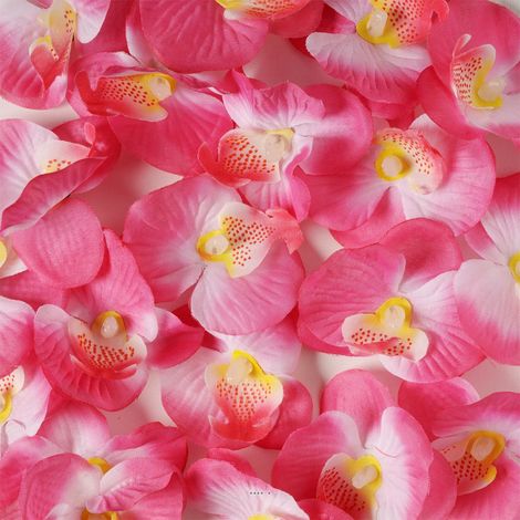 têtes d'orchidees X 20 Rose Tendre en sachet D 6 cm - couleur: Rose