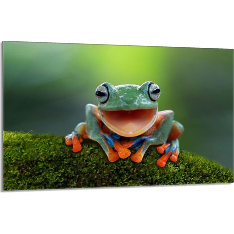 Placa protectora de vidrio para la estufa 80x52 Rana (1/5)