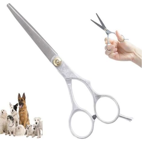 Ciseaux pour Animaux - Non spécifié - Ciseaux plats - Acier inoxydable - 16 cm - Argent (1/2)