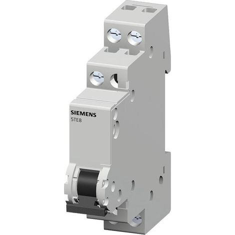 Siemens Indus.Sector Ausschalter 5TE8111 (1/5)