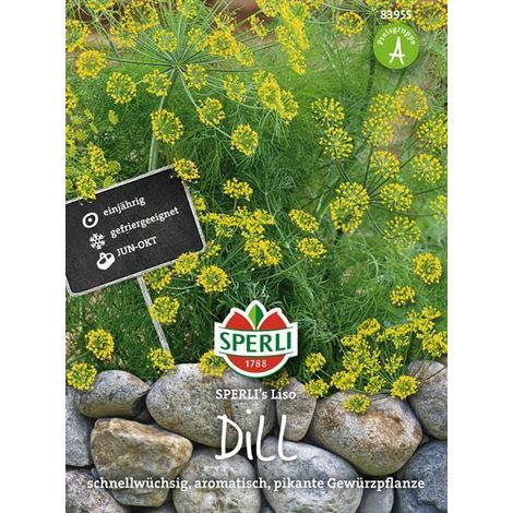 Sperli Dill SPERLI´s Liso - Kräutersamen (1/4)