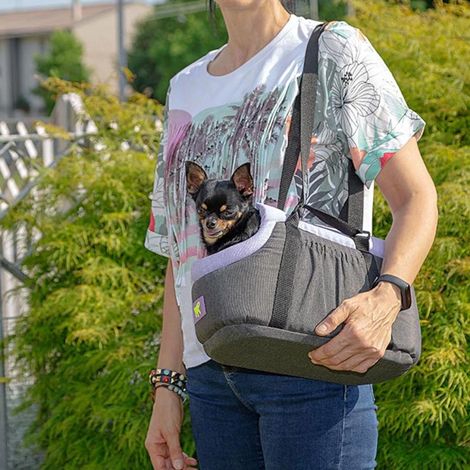 Ferplast BORSELLO Sac de transport pour chiens et chats. Variante 40 - Misure: 35 x 20 x h 20 cm - Bleu clair