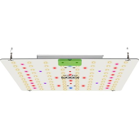Lampe de croissance des plantes, lumière à spectre complet, fonction dimmable, 85W, UE (1/2)