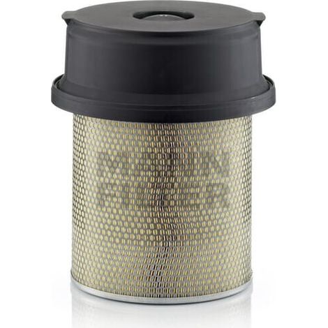 Filtre à air Mann Filter C291219/1
