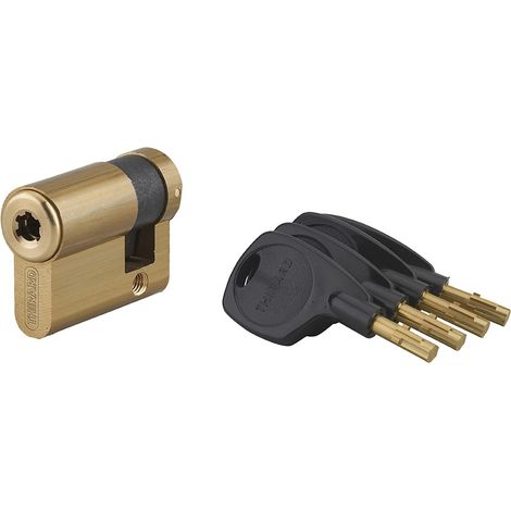 Semicilindro SURVEYOR 31 x 10 mm 4 chiavi – THIRARD (1/5)