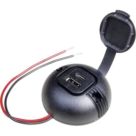 ProCar Alimentation ronde USB-C/A double prise avec couvercle Charge de courant max=5 A 12 V, 24 V (1/2)