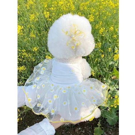 1 Stück Haustierkleid: Leichtes Tüllkleid für den Sommer, für kleine Hunderassen: Pudel, Bichon Frisé, Teddy, Yorkshire Terrier, Schnauzer, Größe XS (1/5)