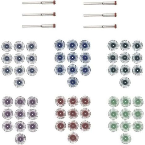 Lot de 66 disques abrasifs avec tige 1/8\" pour outils rotatifs de nettoyage et d\'ébavurage, grain mixte 80/120/220/400/600/1000 (1/5)