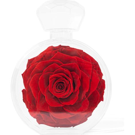 Acrylic bottle with preserved flowers for home decoration, Valentine's Day gift (1/4)