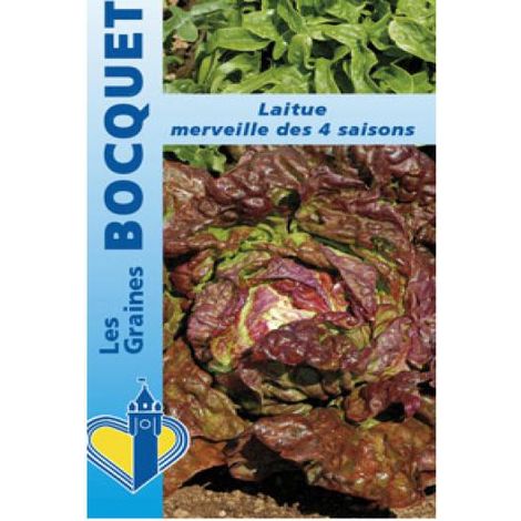 Laitue 'Merveille des 4 Saisons' le sachet de 2500 graines (3g) (1/2)