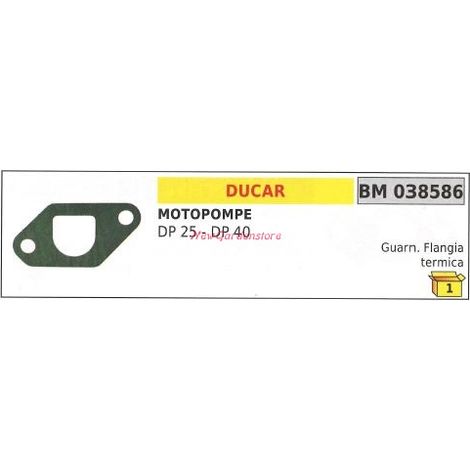 Junta brida térmica bomba motor DUCAR DP 25 40 038586