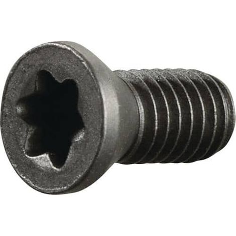 TECWERK Spannschraube M3,5 Gewinde-L.8mm z.Klemmdrehhalter SE R/ SI L TECWERK (1/2)