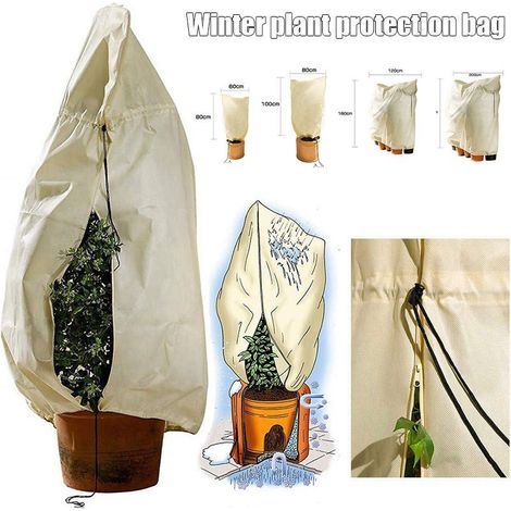 Filiyano-Housse d'hivernage pour plantes, protection ajustable avec fermeture éclair (1/3)