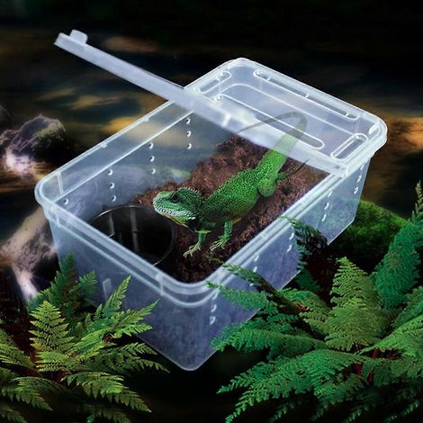 Boîte d'élevage portable pour reptiles, gamelle pour reptiles, boîte d'alimentation, conteneur d'éclosion pour serpents (1/4)