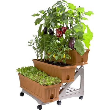 Kit di 3 fioriere su tre livelli con carrello Bama Verde (1/10)