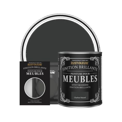 Peinture pour Meubles Brillante - Charbon Naturel (1/2)