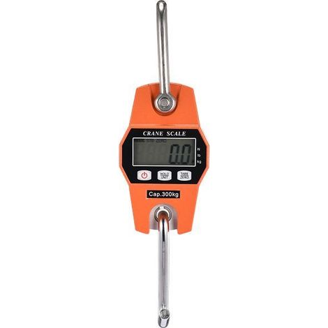 Peson électronique 300kg – Balance crochet suspendu avec écran LCD rétroéclairé – Précision OIML III – Utilisation industrielle - 600lbs (1/5)
