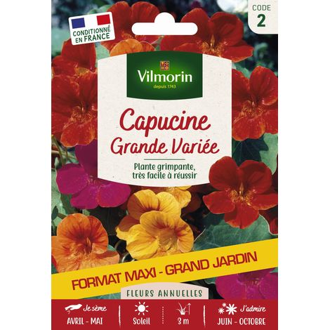 Capucine Grande Variée - Grand Modèle Vilmorin