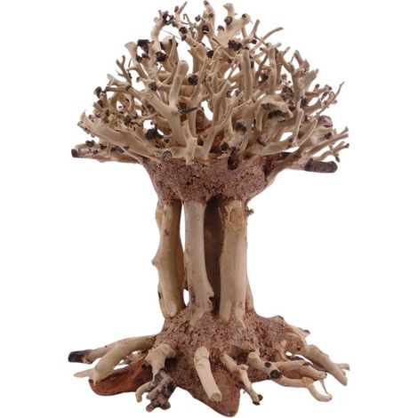 Bonsai Mammut Baum M 10x10x15 cm Wurzel Holz Aquarium Deko Aquascaping
