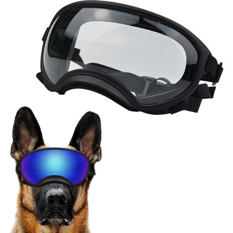 Lunettes de protection pour chiens de race moyenne à grande, protection UV, verres magnétiques transparents, coupe-vent, pour sports d'hiver. (1/5)