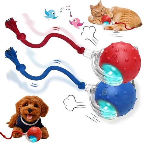 ZVD Jouets interactifs pour animaux de compagnie - Jouet pour chat - Avec sons d'oiseaux et ficelle - Balle interactive pour chats et chiens (1/5)