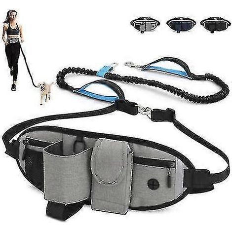 Laisse mains libres pour chien avec sac banane, laisse élastique réfléchissante avec dos rembourré pour chiens moyens à grands, idéale pour la marche, la course et la randonnée - Excellence (1/5)