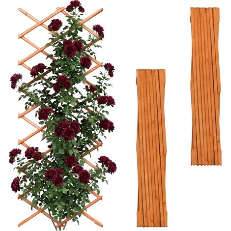 Relaxdays Rankgitter ausziehbar, 3er Set, 310x90 cm, Holz, Wandmontage, Rankhilfe Kletterpflanzen, Holzgitter, orange